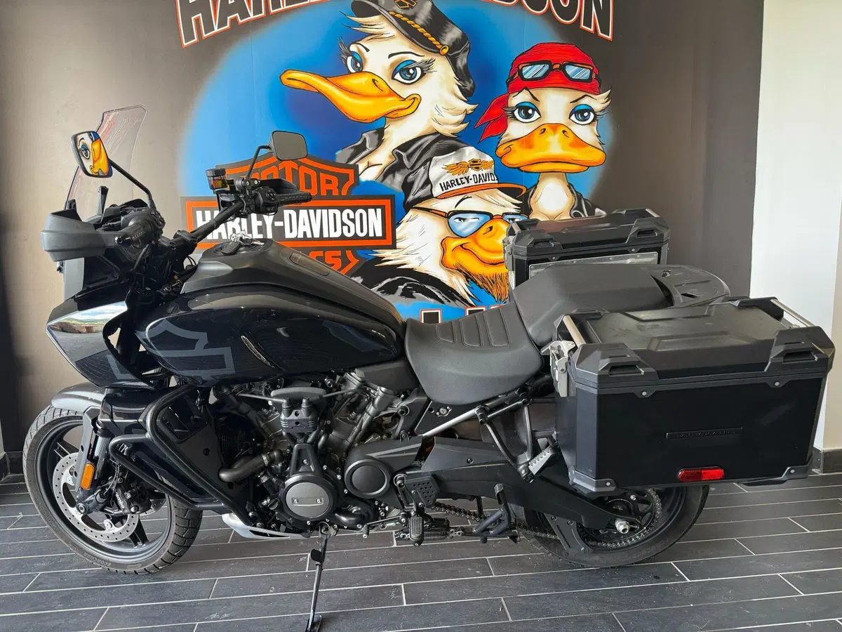 Harley-Davidson Pan America 1250 Special (2020 - 25) (2)