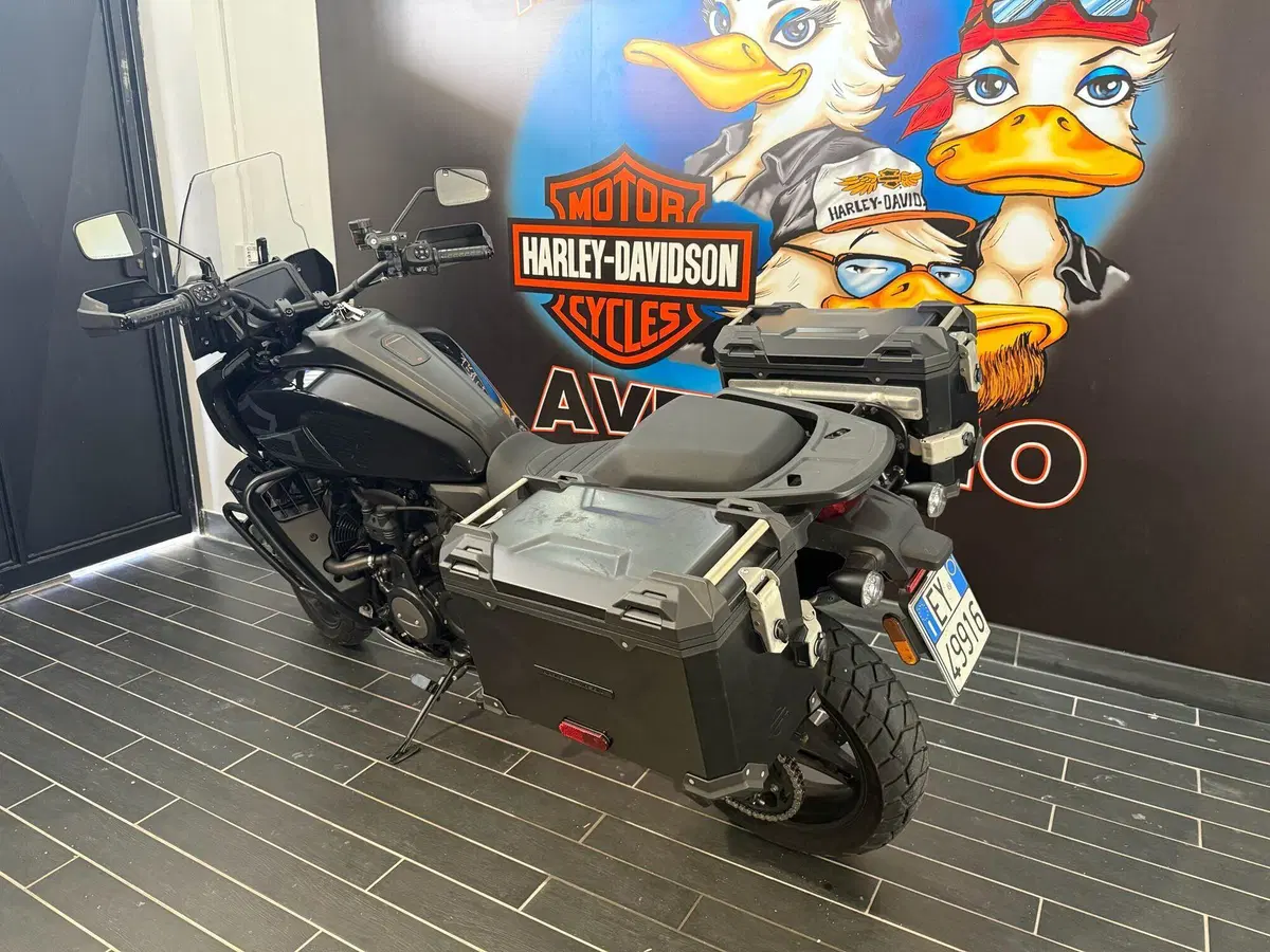 Harley-Davidson Pan America 1250 Special (2020 - 25) (4)