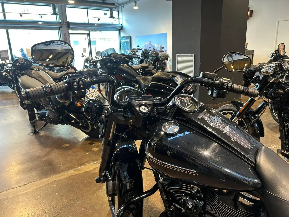 Harley-Davidson Road King Special (2021 - 25) (7)