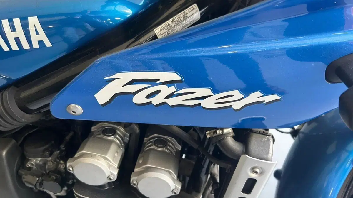 Yamaha FZ6 FAZER 95CV (4)