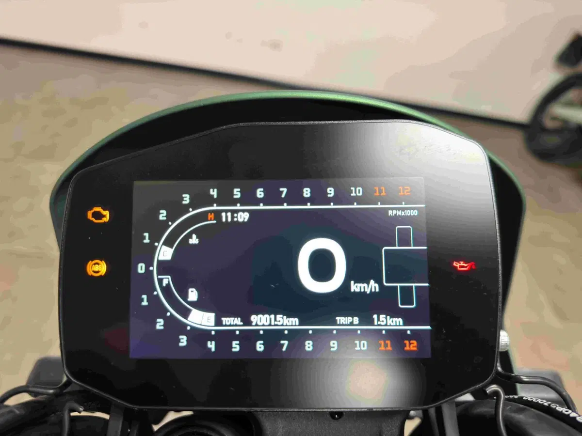 Benelli Leoncino 800 (2022 - 26) (5)