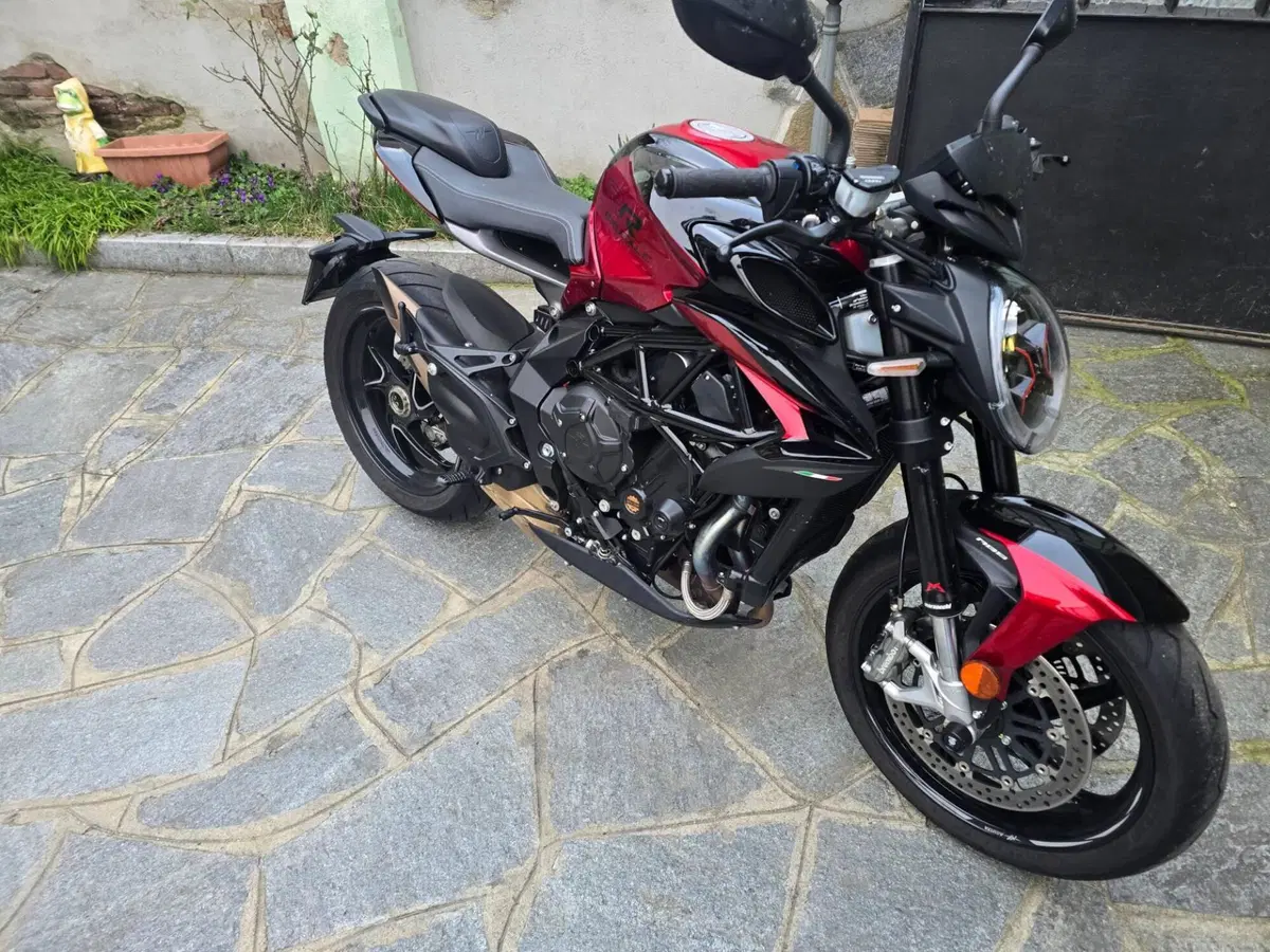 MV Agusta Brutale 800 RR (2021 - 25) (6)