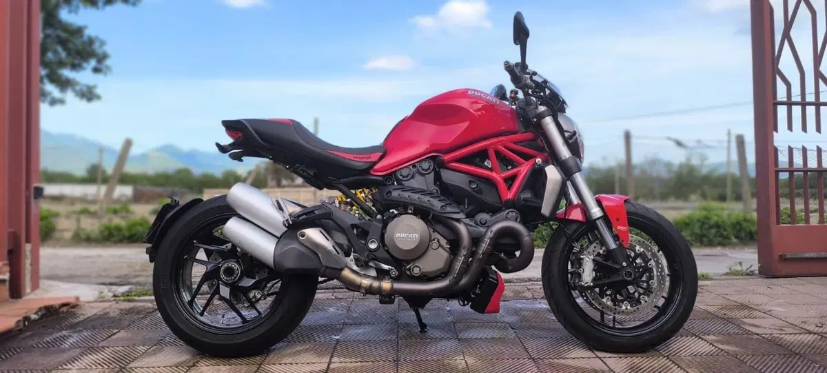 Ducati Monster 1200 (2014 - 16) (2)