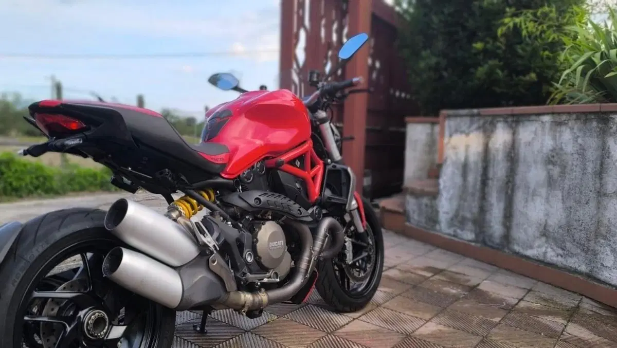 Ducati Monster 1200 (2014 - 16) (3)