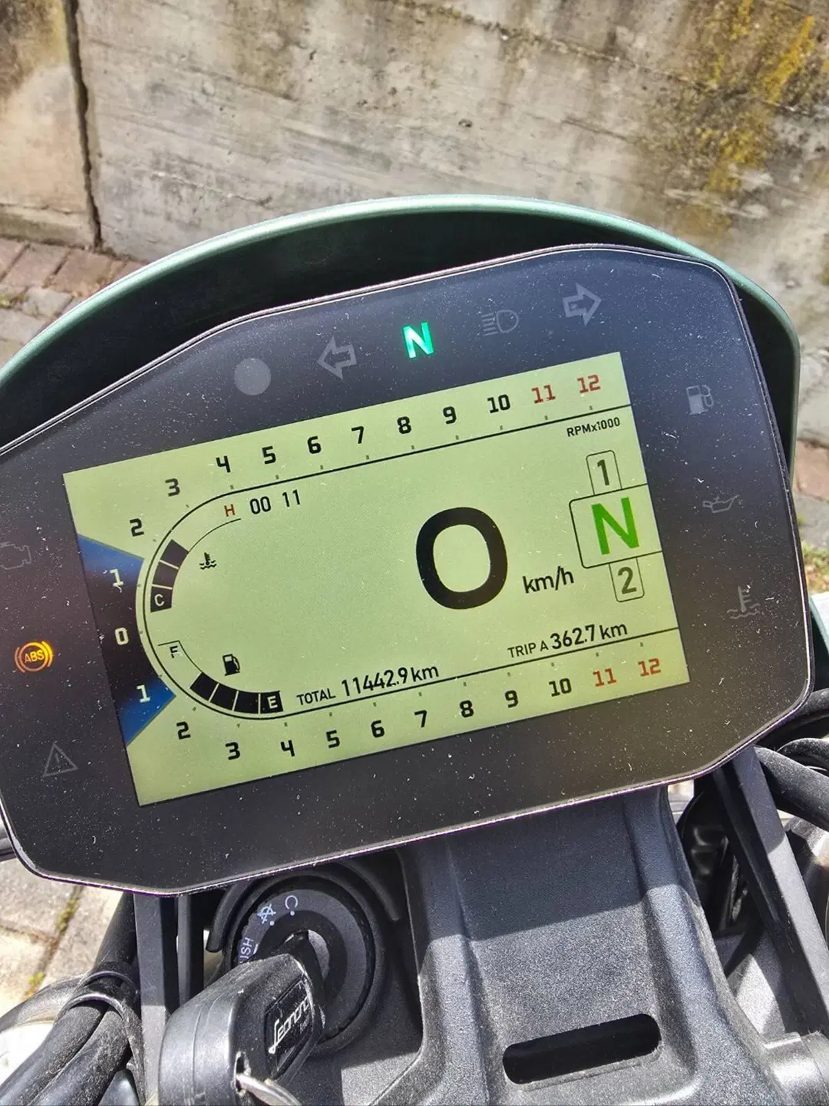 Benelli Leoncino 800 Trail (2022 - 26) (4)