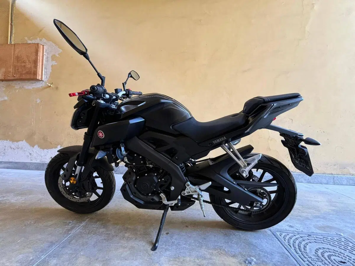 Yamaha MT-125 ABS (2017 - 19) (4)
