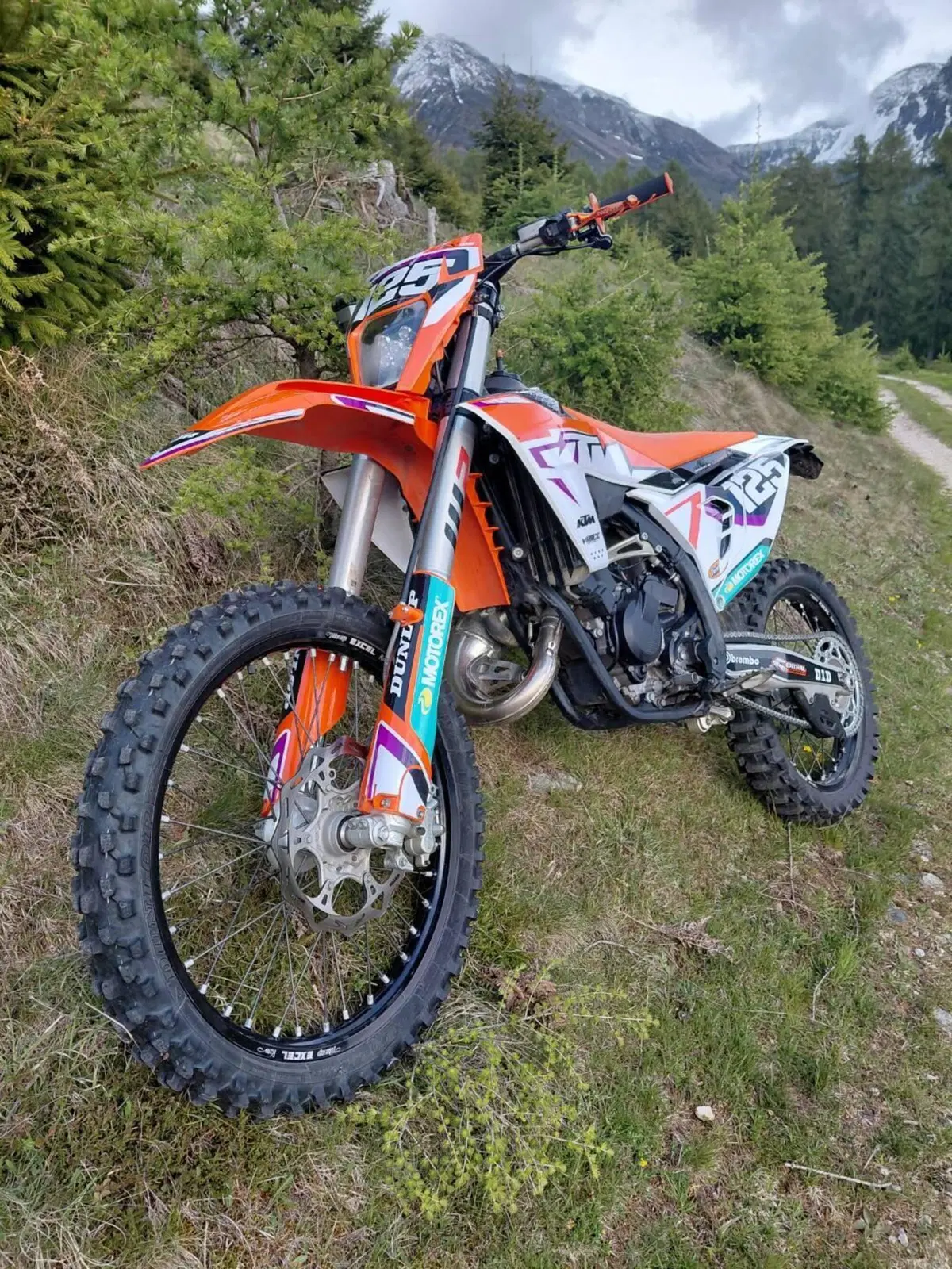 KTM 125 SX (2023) (6)