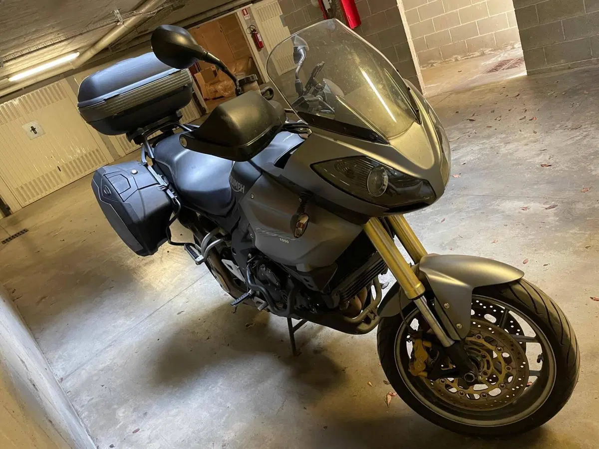 Triumph Tiger 1050 (2006 - 12) (6)