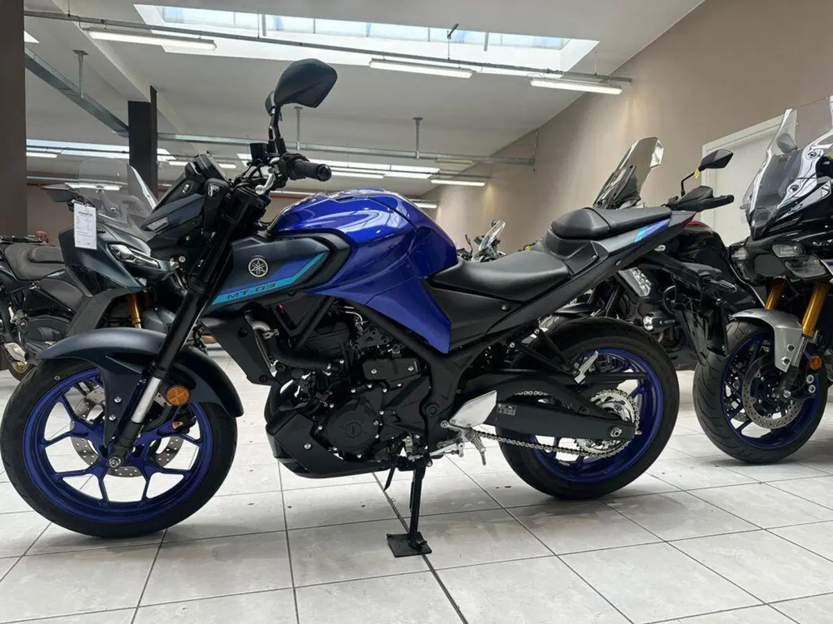 Yamaha MT-03 (2025 - 26) (3)