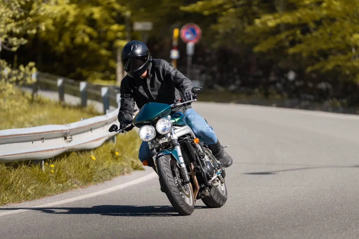 Triumph Speed Triple 955 (2002 - 04) (2)