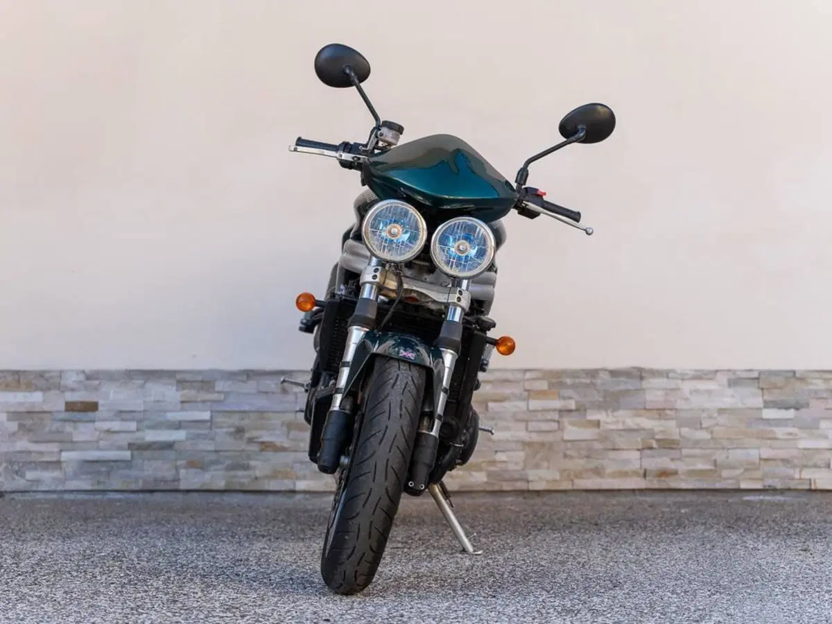 Triumph Speed Triple 955 (2002 - 04) (3)
