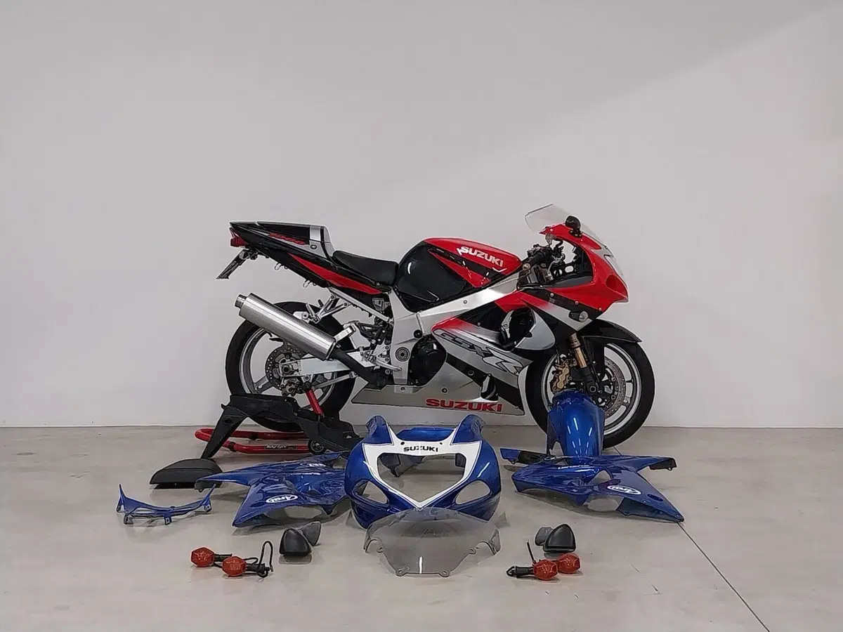 Suzuki GSX-R1000 (2000 - 02)
