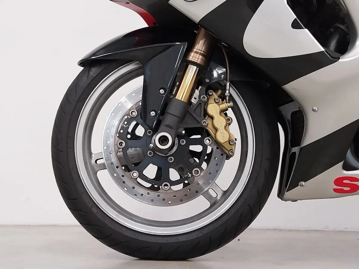 Suzuki GSX-R1000 (2000 - 02) (14)