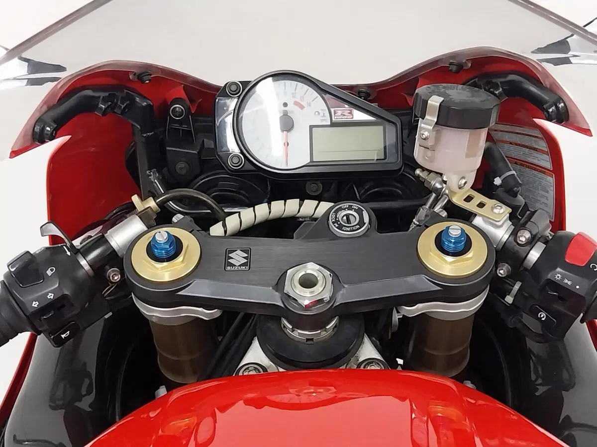Suzuki GSX-R1000 (2000 - 02) (19)
