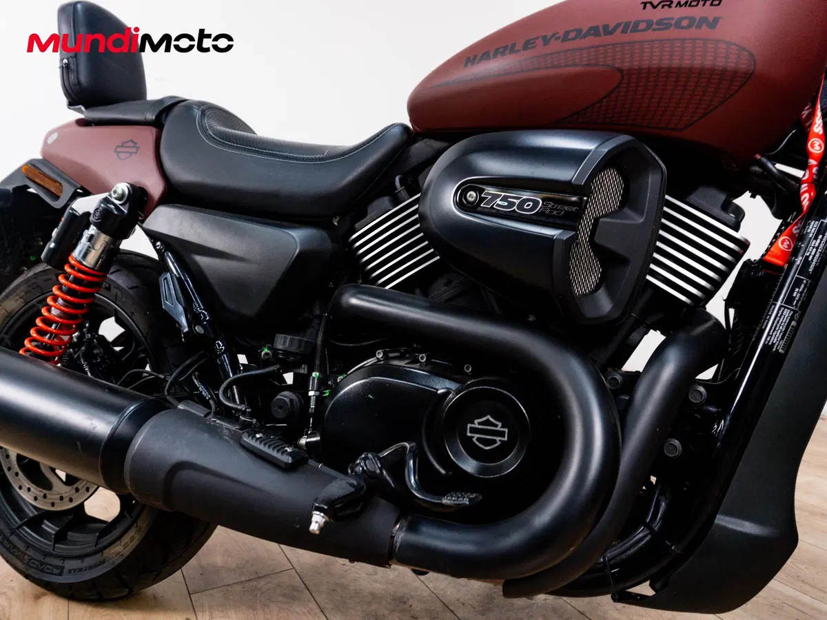 Harley-Davidson 750 Street Rod (2017 - 20) - XG 750 (5)