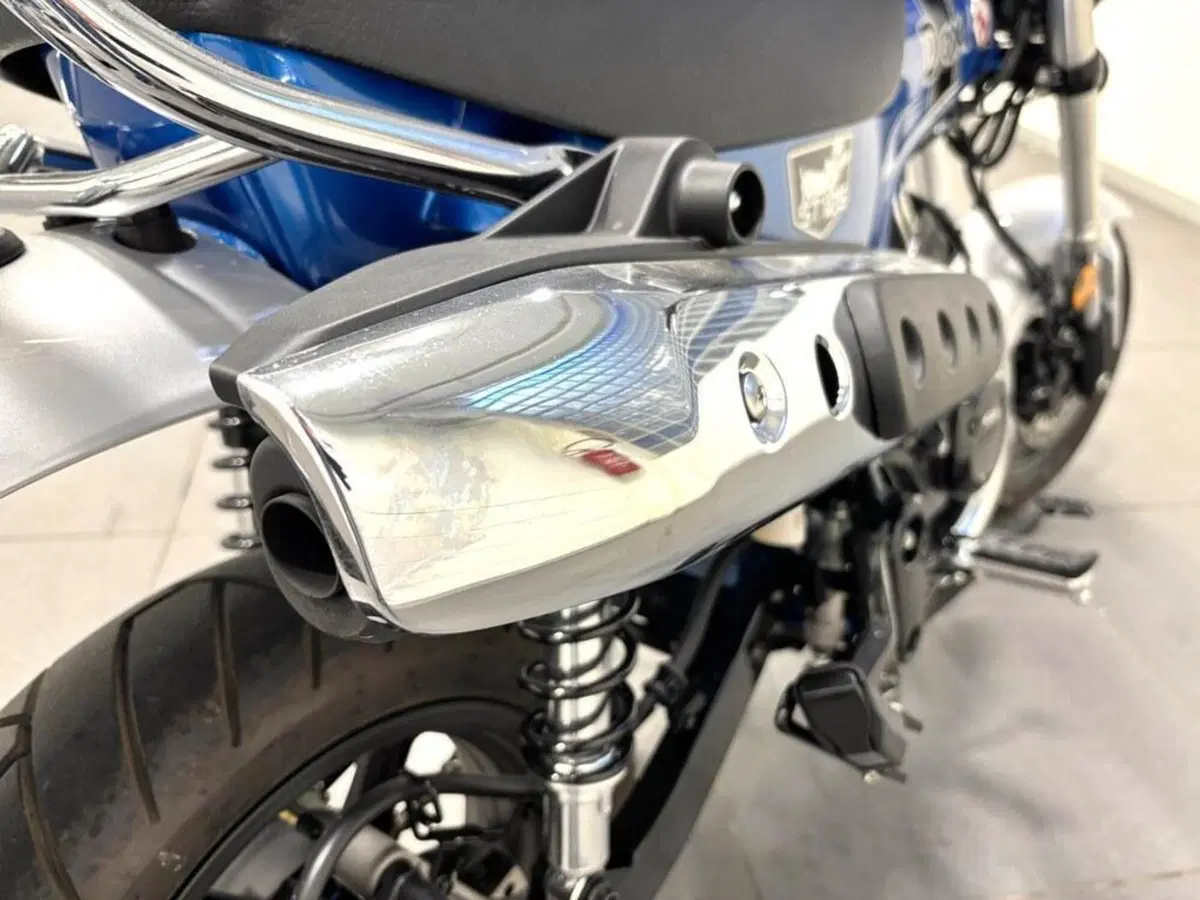 Honda Dax 125 (2023 - 24) (3)