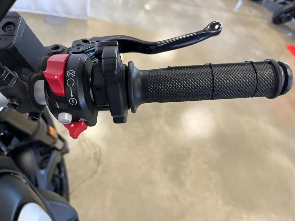 Ducati Scrambler 800 Icon Dark (2021 - 22) (11)