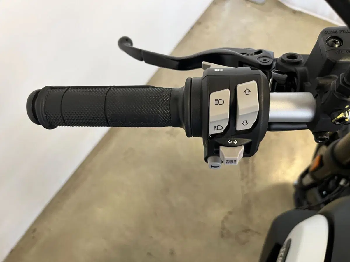 Ducati Scrambler 800 Icon Dark (2021 - 22) (12)