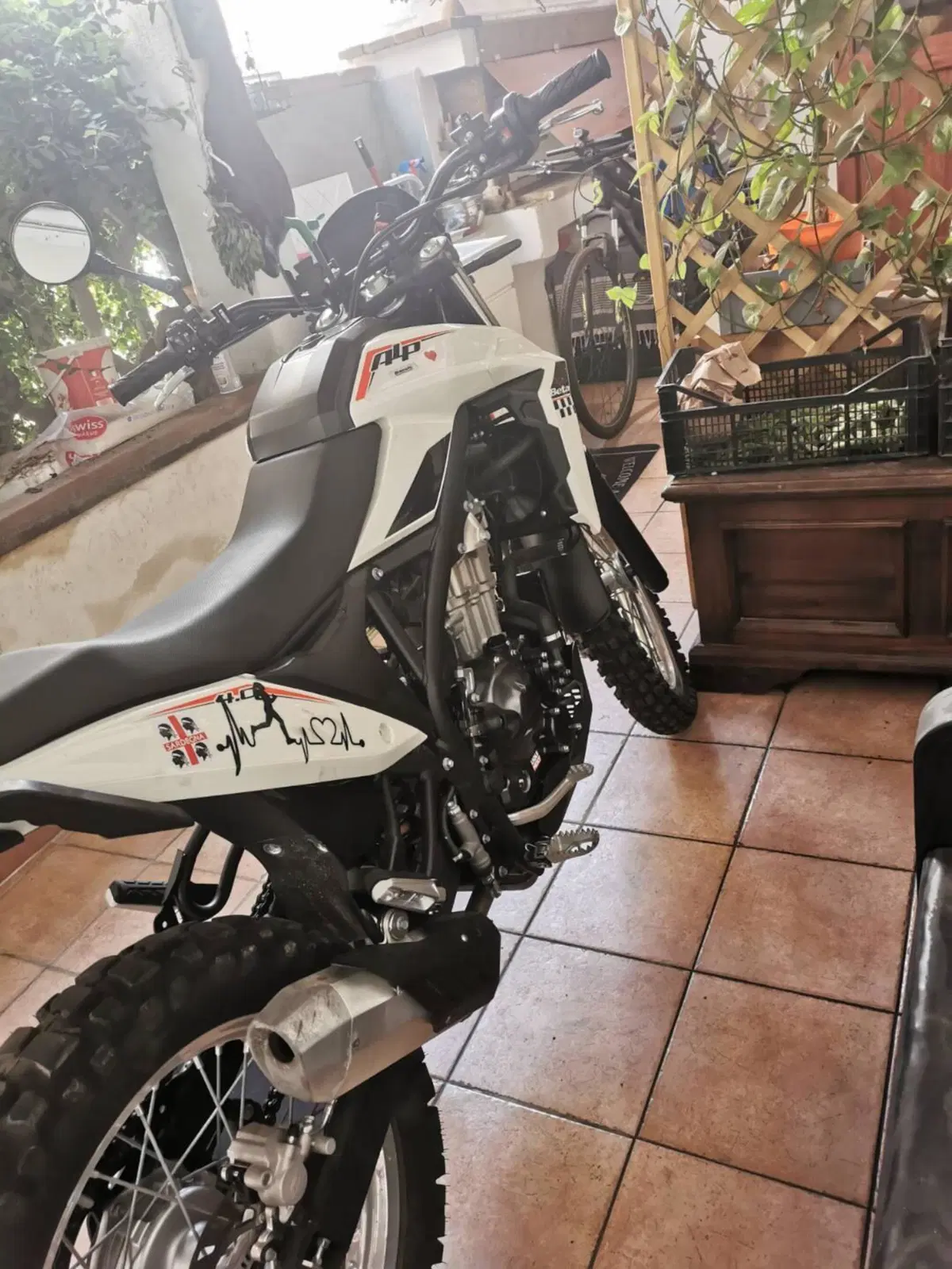 Betamotor Alp 4.0 (2024 - 26) (4)