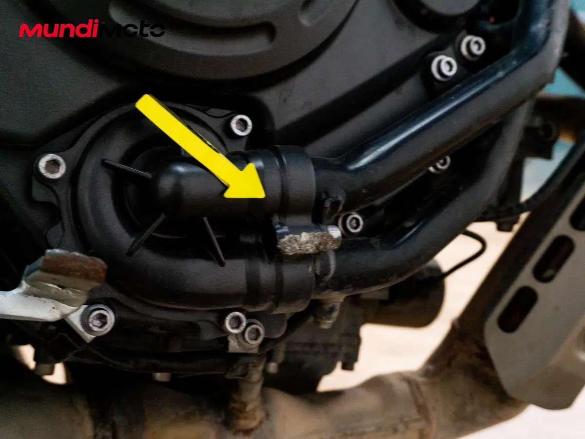 Yamaha MT-07 (2025 - 26) (21)