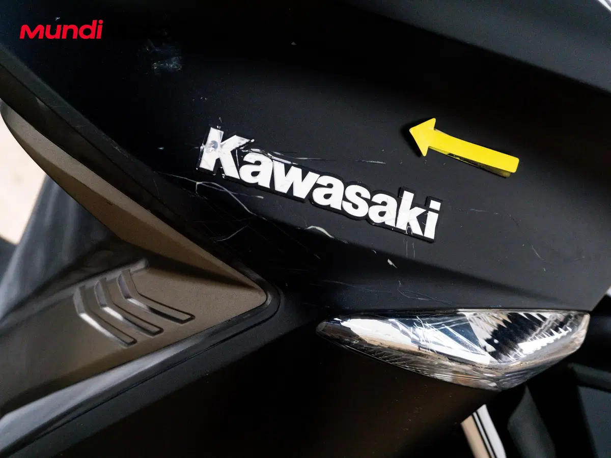 Kawasaki J 300 ABS (2014 - 16) (22)