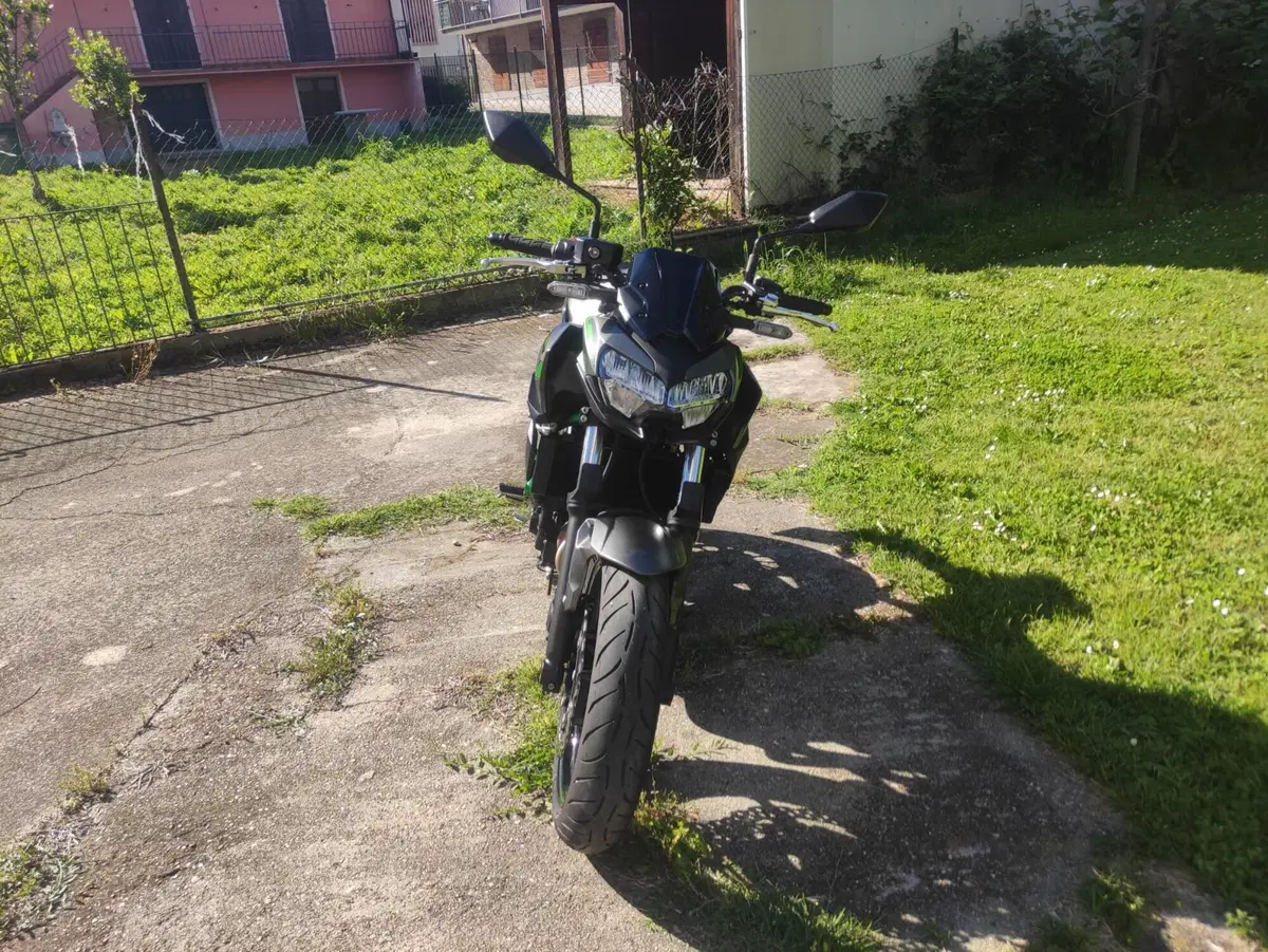 Kawasaki Z 650 (2021 - 24) (5)