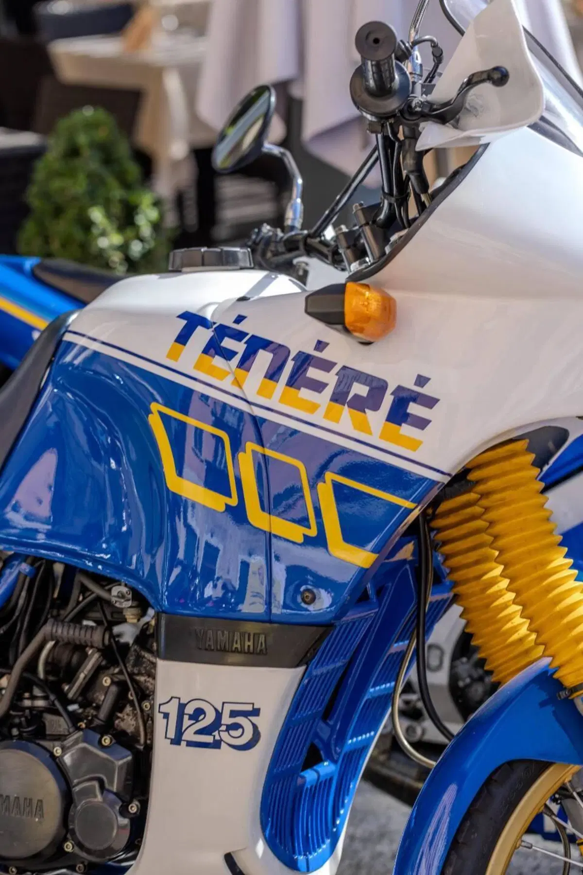 Yamaha Dt 125 Tenere'  (2)