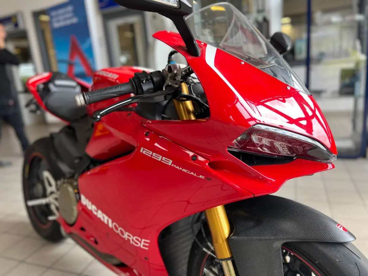 Ducati 1299 Panigale S (2015 - 18) (2)