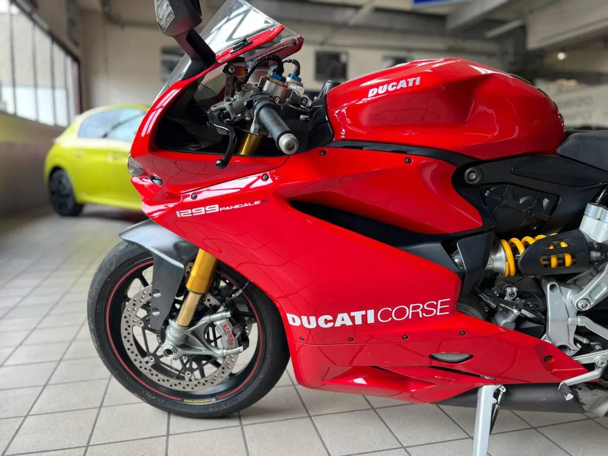 Ducati 1299 Panigale S (2015 - 18) (3)