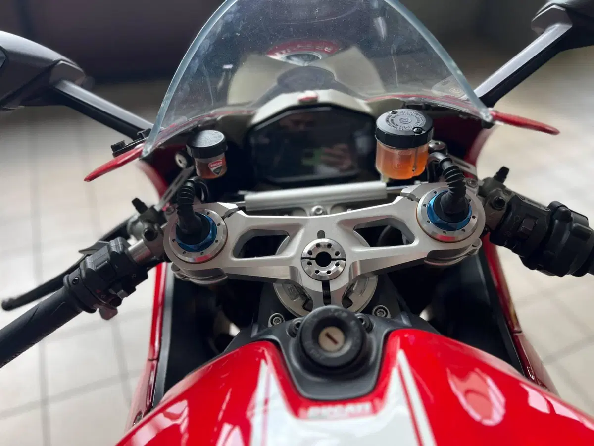 Ducati 1299 Panigale S (2015 - 18) (7)