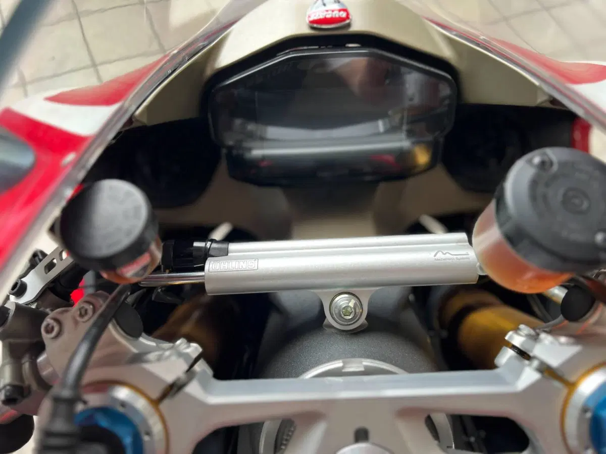 Ducati 1299 Panigale S (2015 - 18) (12)