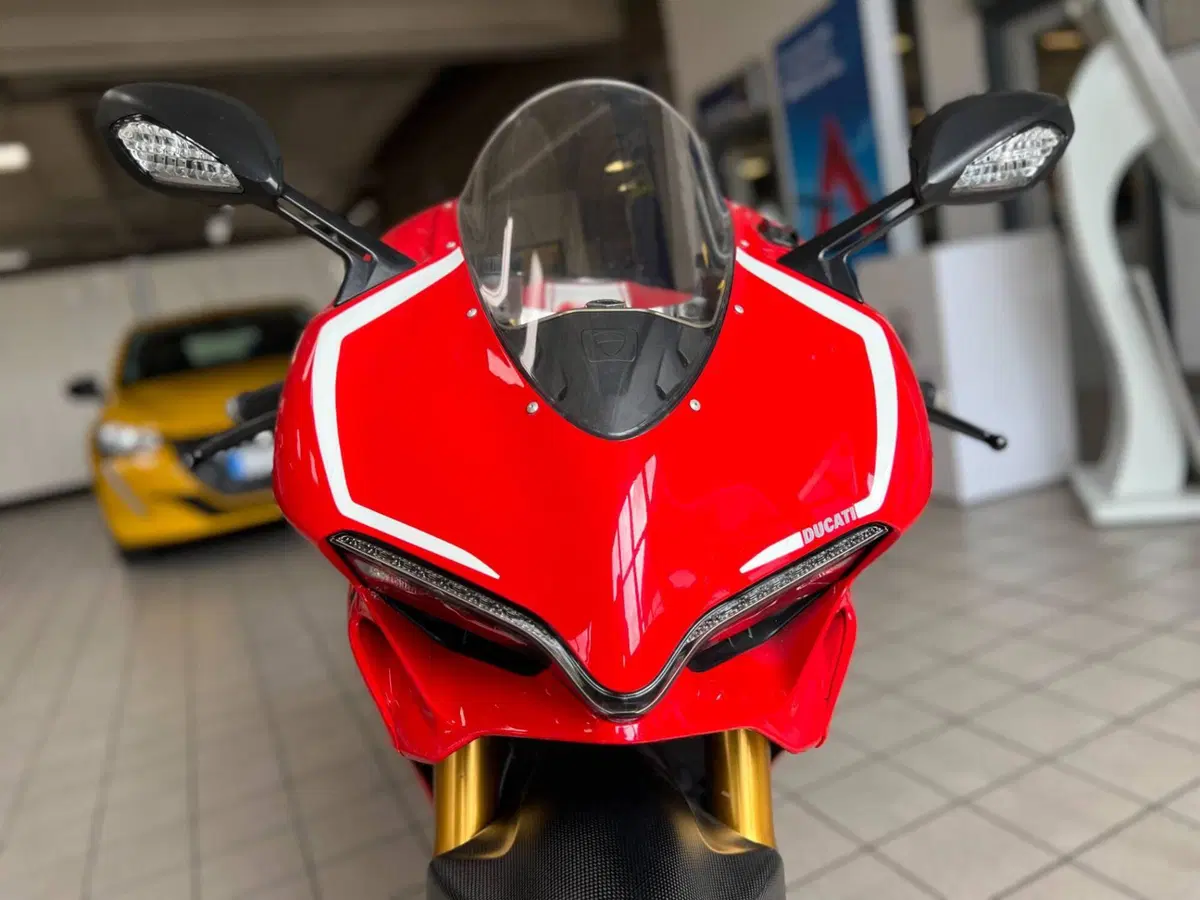 Ducati 1299 Panigale S (2015 - 18) (13)