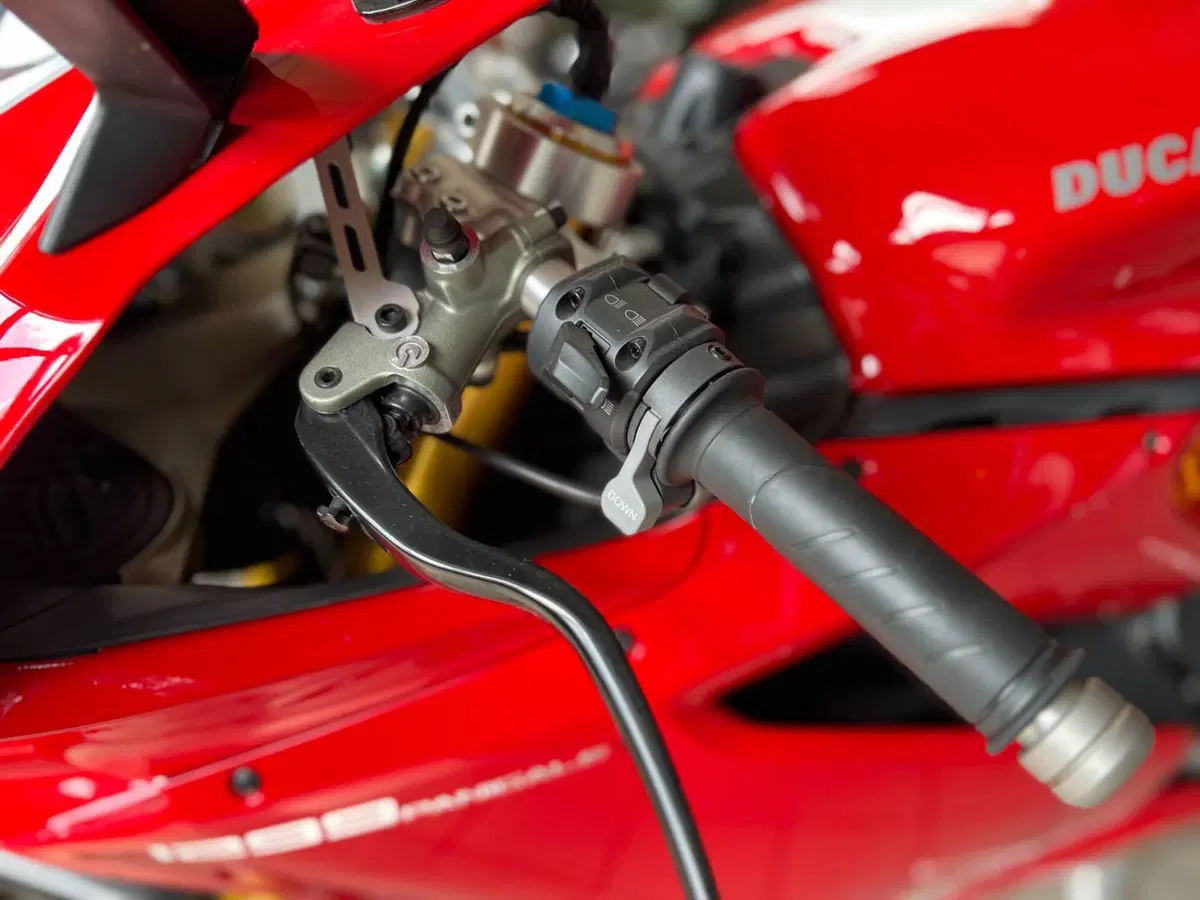 Ducati 1299 Panigale S (2015 - 18) (15)