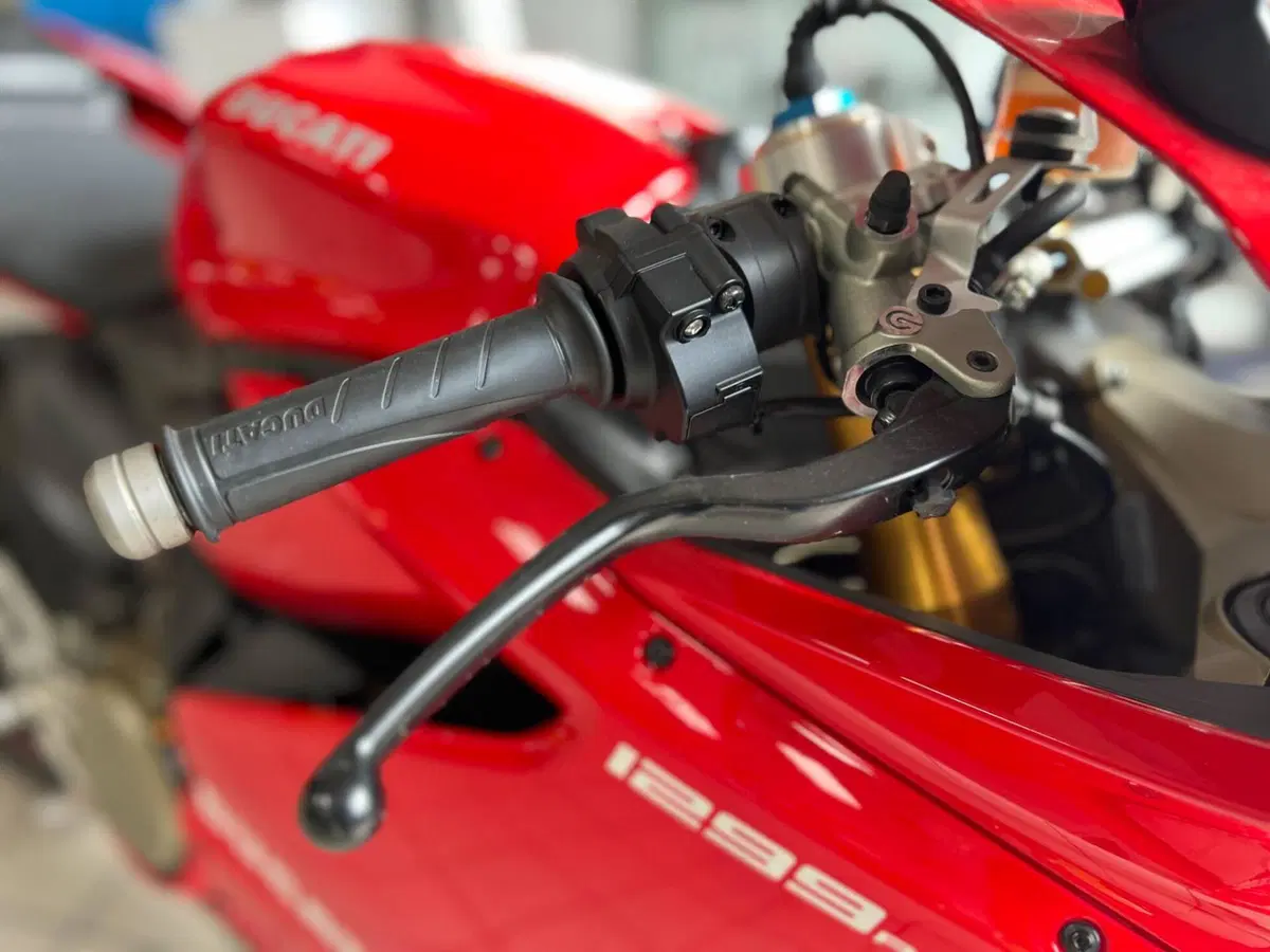 Ducati 1299 Panigale S (2015 - 18) (16)
