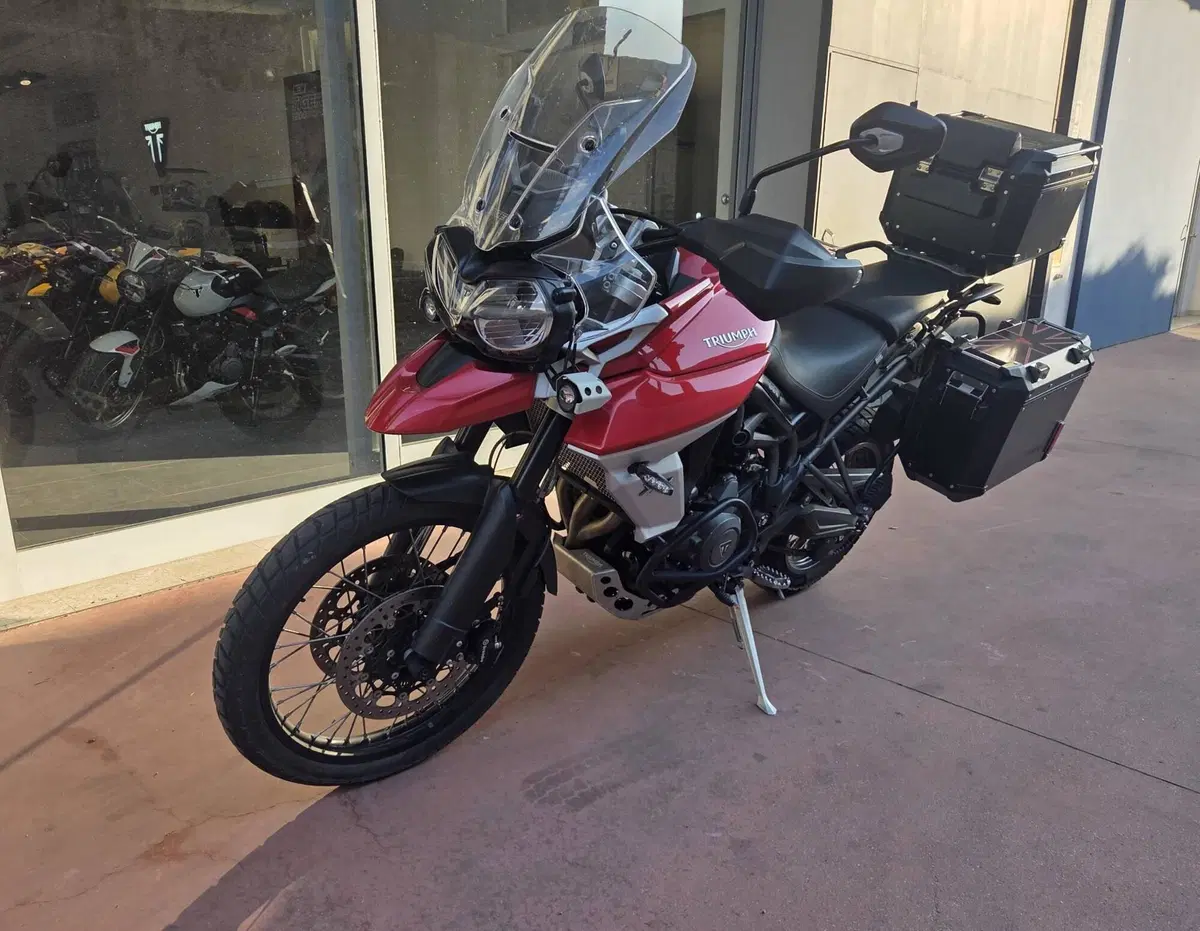 Triumph Tiger 800 XCa (2018 - 20) (7)