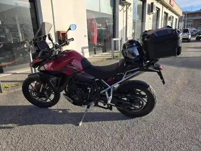 Triumph Tiger 900 GT Pro (2024 - 26) usata