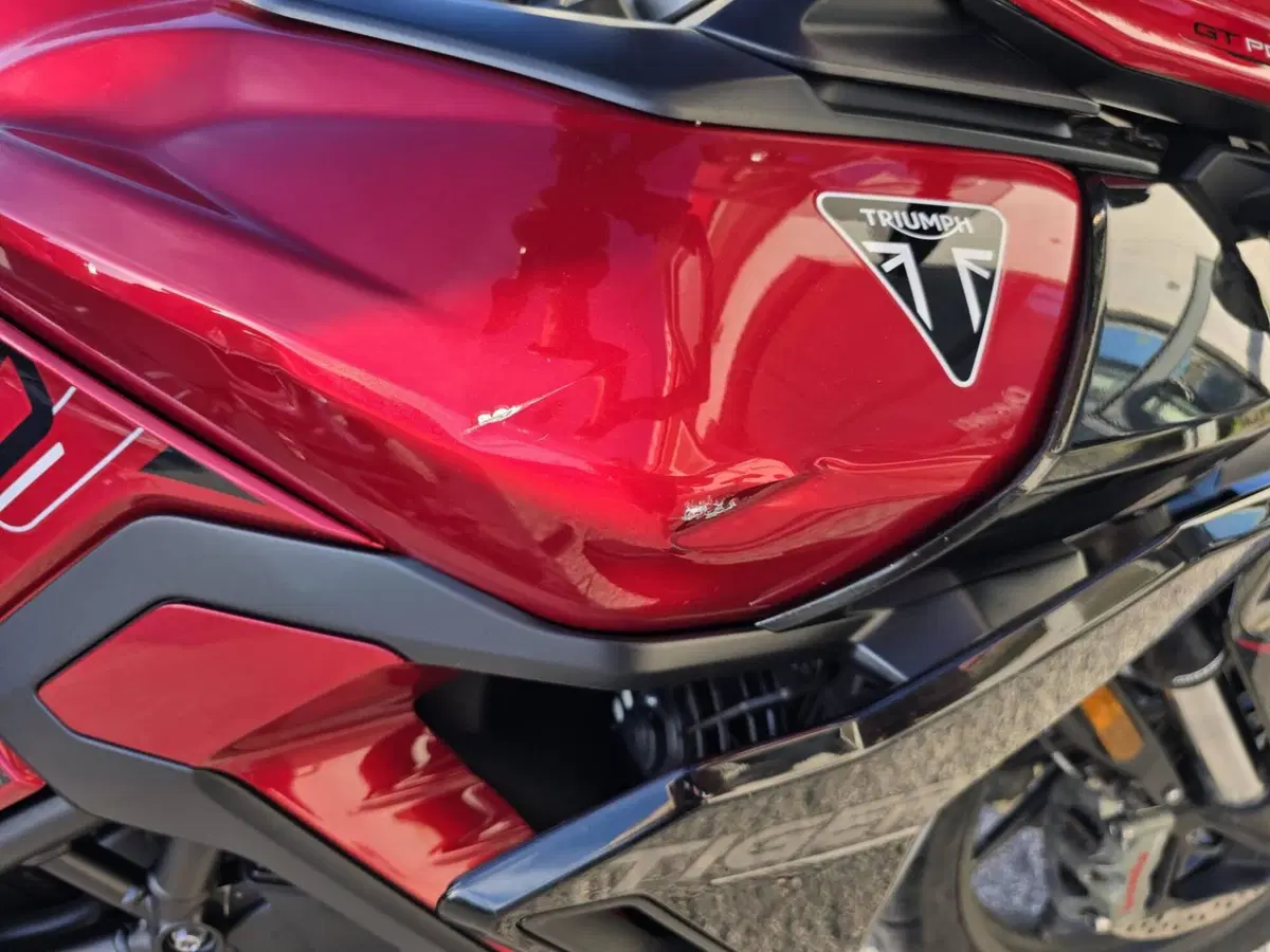 Triumph Tiger 900 GT Pro (2024 - 26) (2)