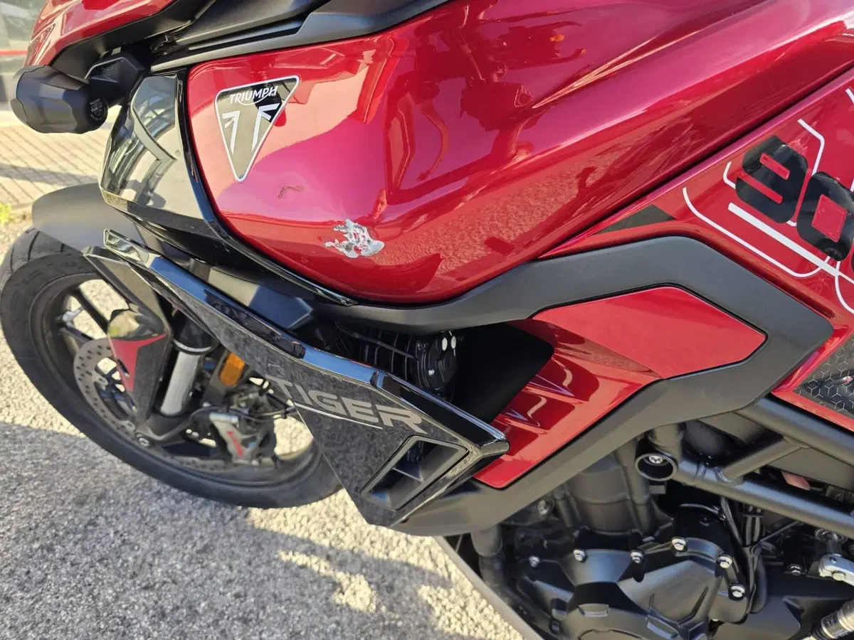 Triumph Tiger 900 GT Pro (2024 - 26) (3)