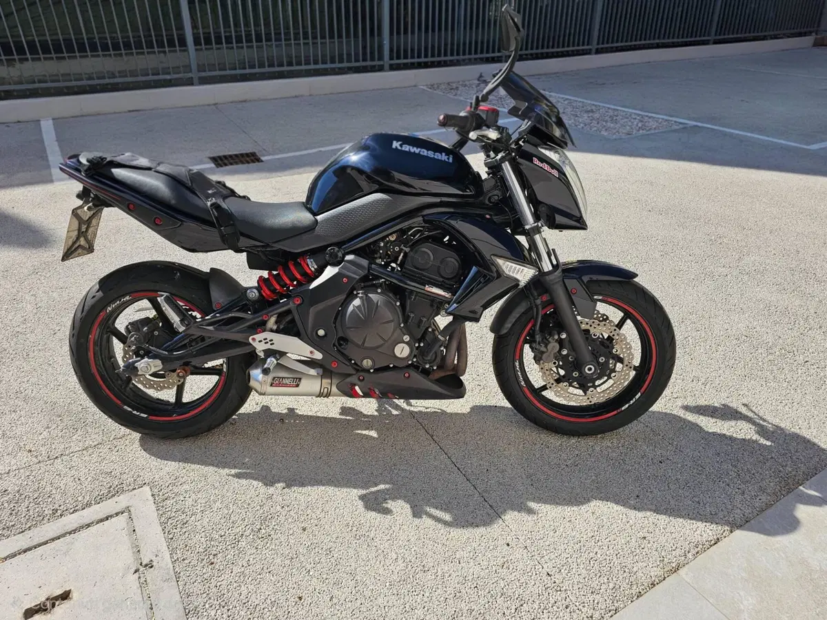 Kawasaki ER-6N (2009 - 11)