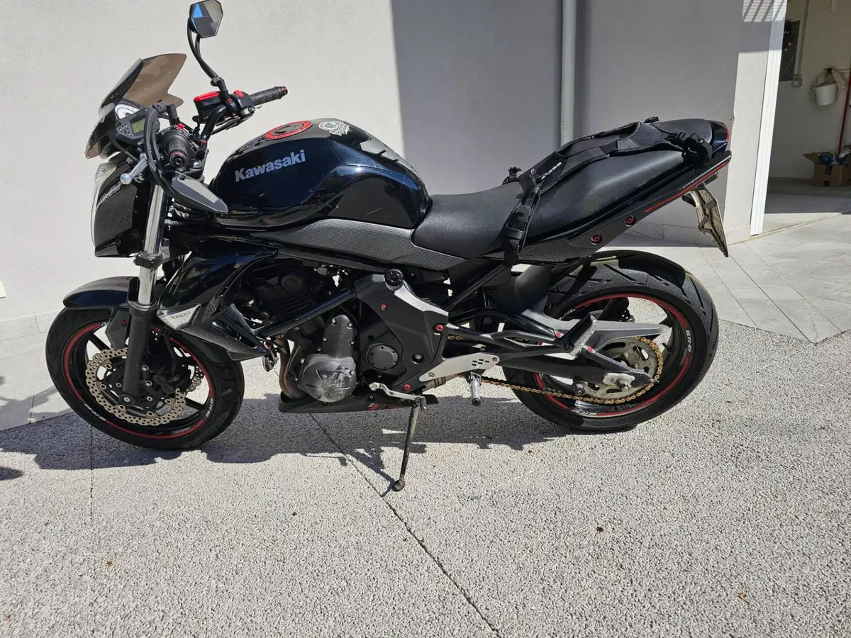 Kawasaki ER-6N (2009 - 11) (2)