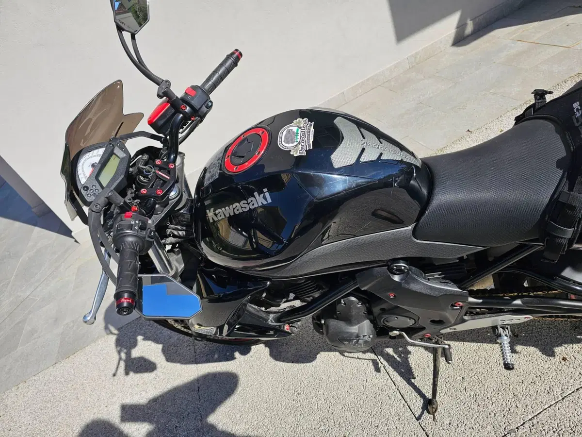 Kawasaki ER-6N (2009 - 11) (3)