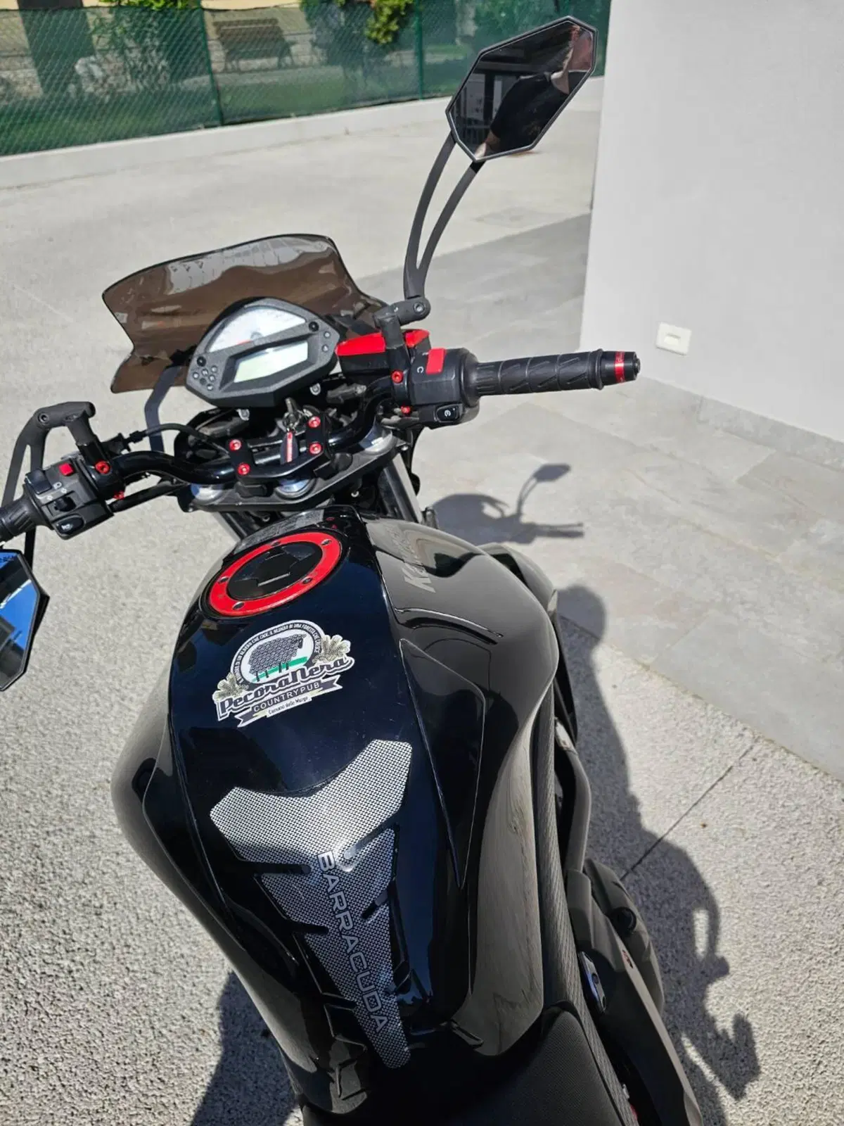 Kawasaki ER-6N (2009 - 11) (4)