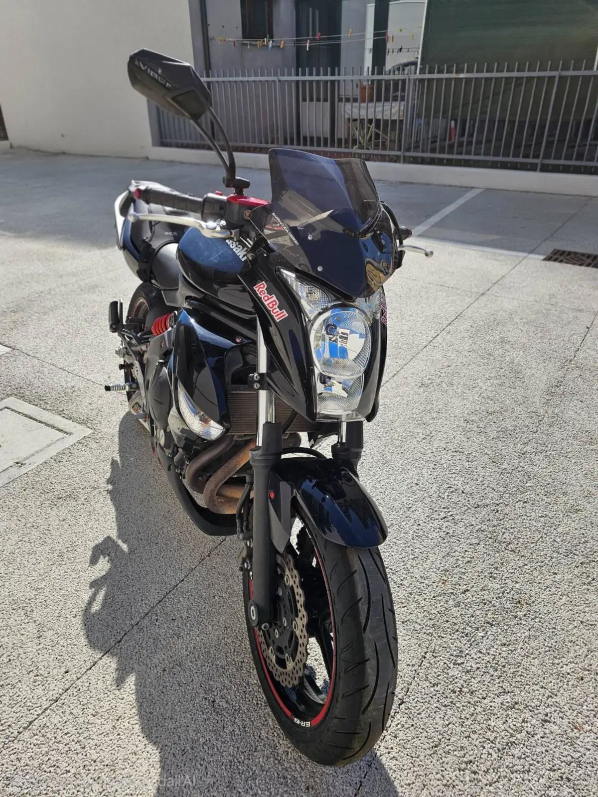 Kawasaki ER-6N (2009 - 11) (7)