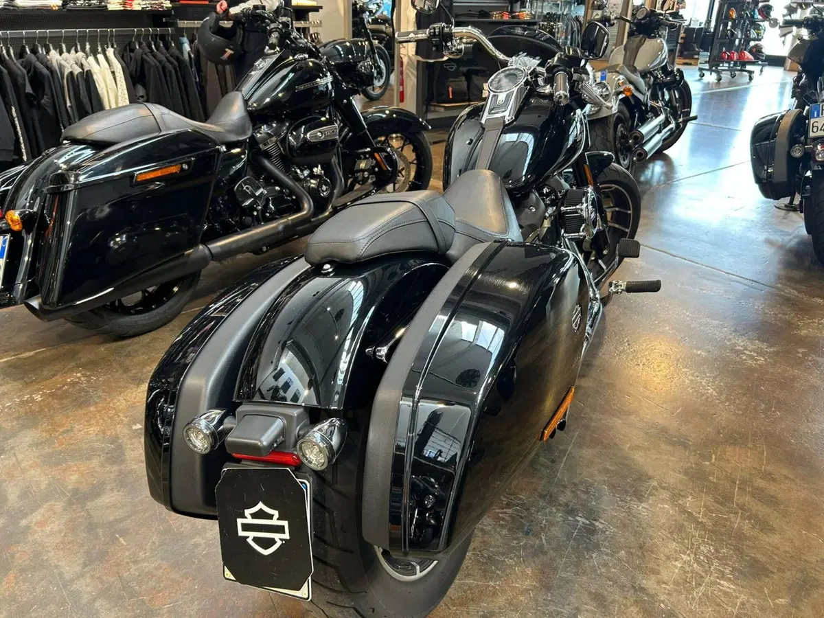 Harley-Davidson Sport Glide (2021 - 25) (3)
