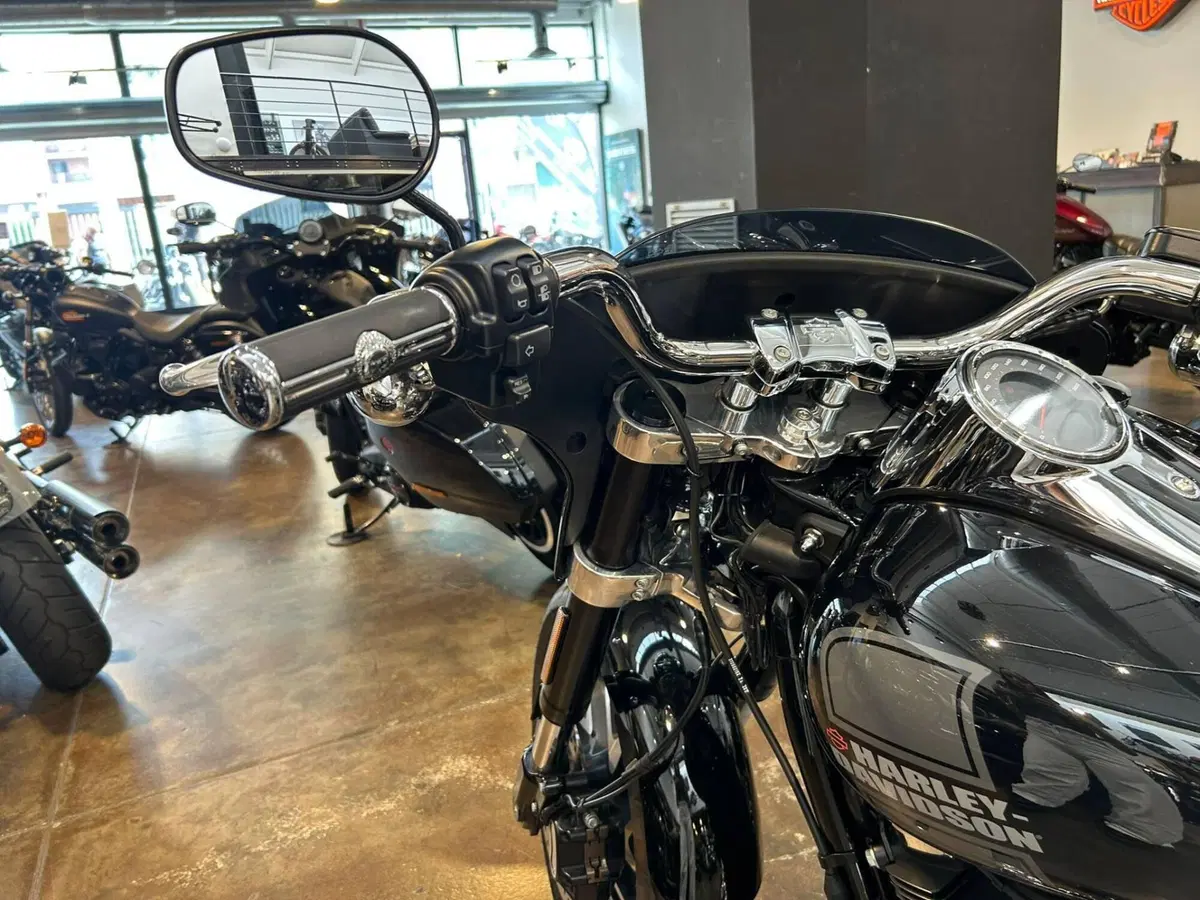 Harley-Davidson Sport Glide (2021 - 25) (6)