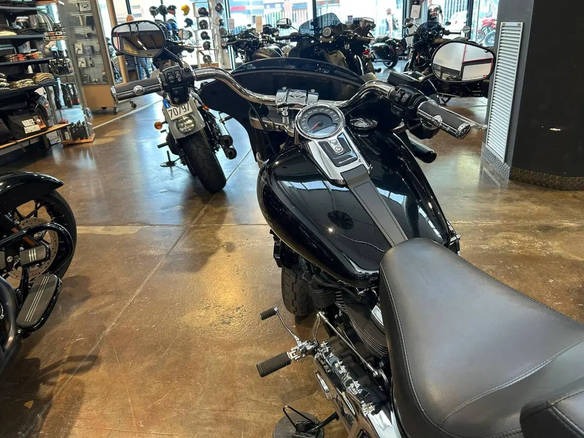 Harley-Davidson Sport Glide (2021 - 25) (8)