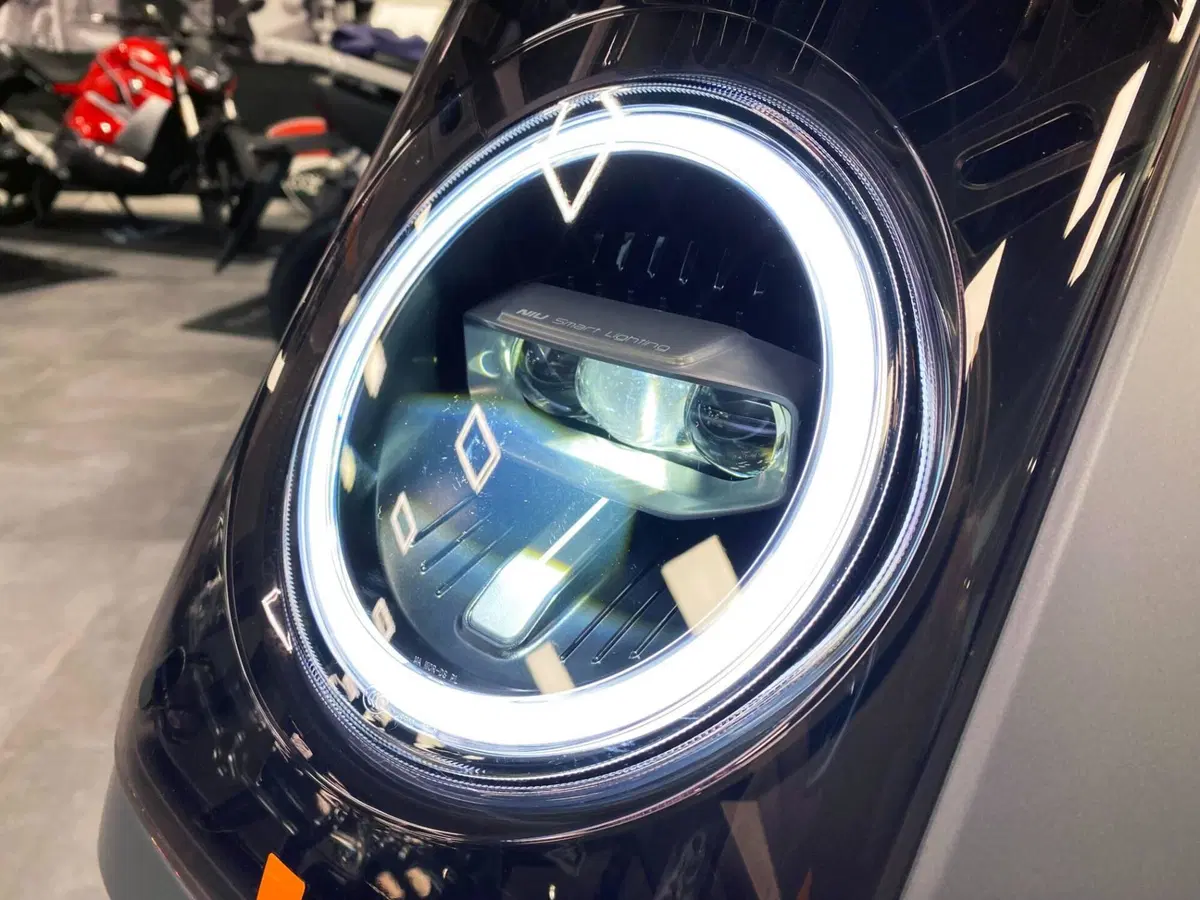 Niu NQiX 500 (2025 - 26) (11)