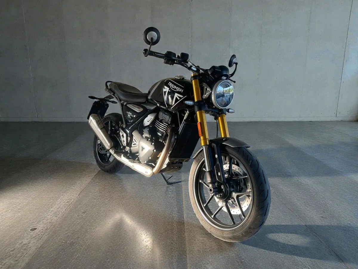 Triumph Speed 400 (2024 - 26) (3)