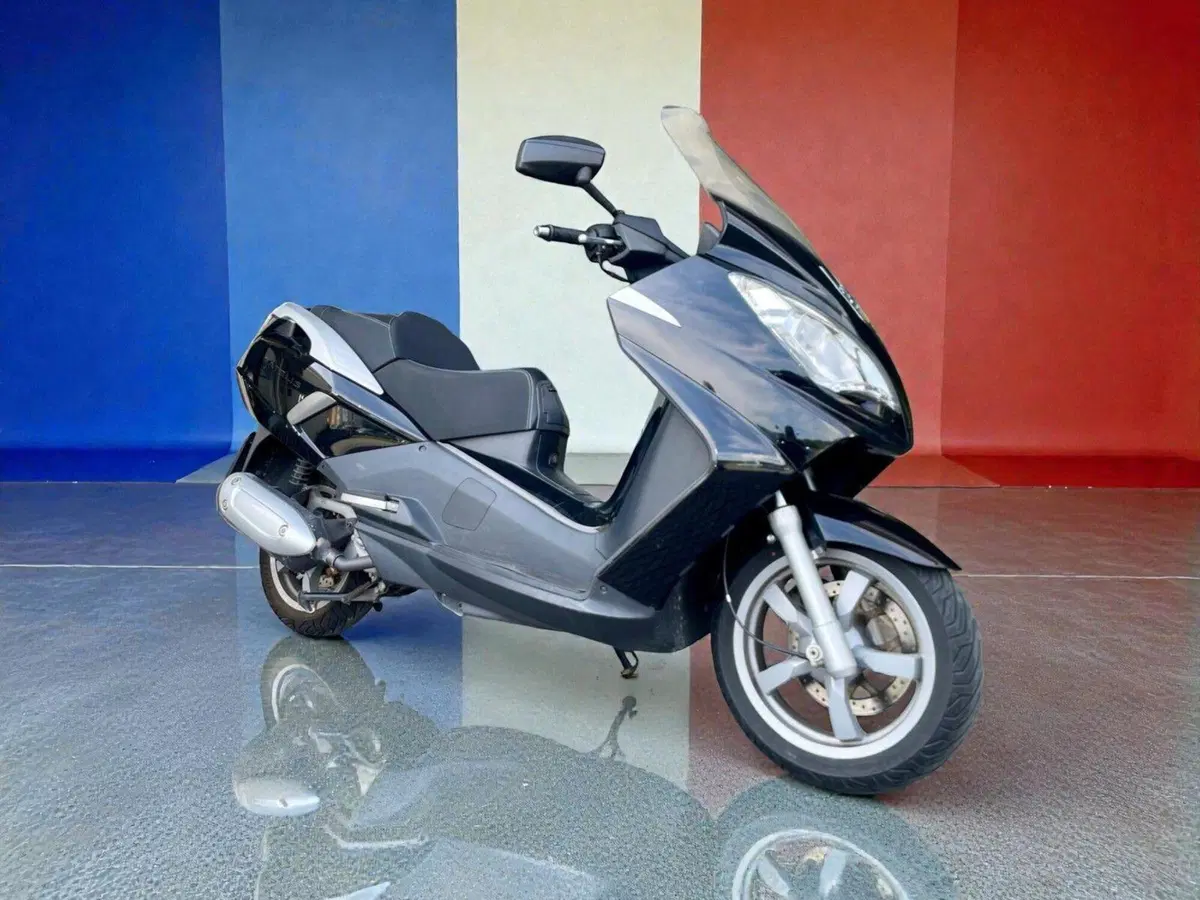 Peugeot Satelis 300 (2013 - 16) (2)