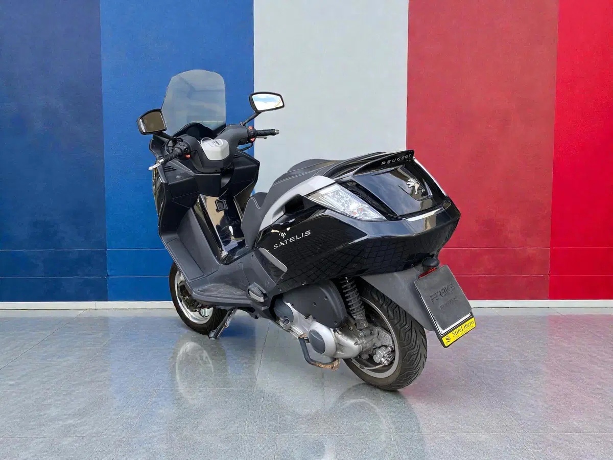 Peugeot Satelis 300 (2013 - 16) (4)